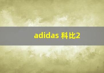 adidas 科比2